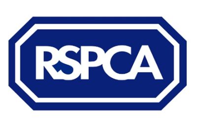 RSPCA Donations Dip in 2024 Amidst Soaring Animal Care Costs