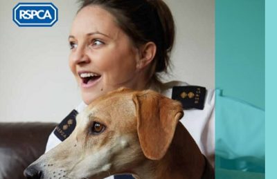 RSPCA's £44.2M Donations in 2024: A Look at Financial Pressures